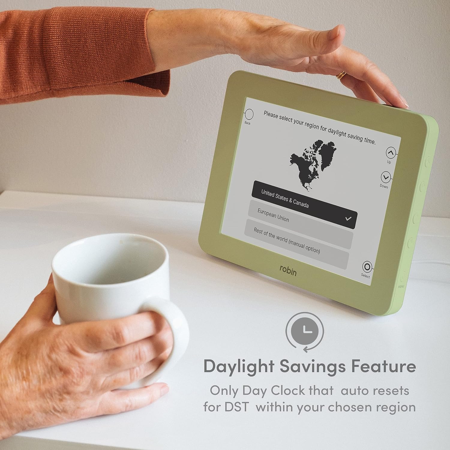 Robin 8" Day Clock Sage